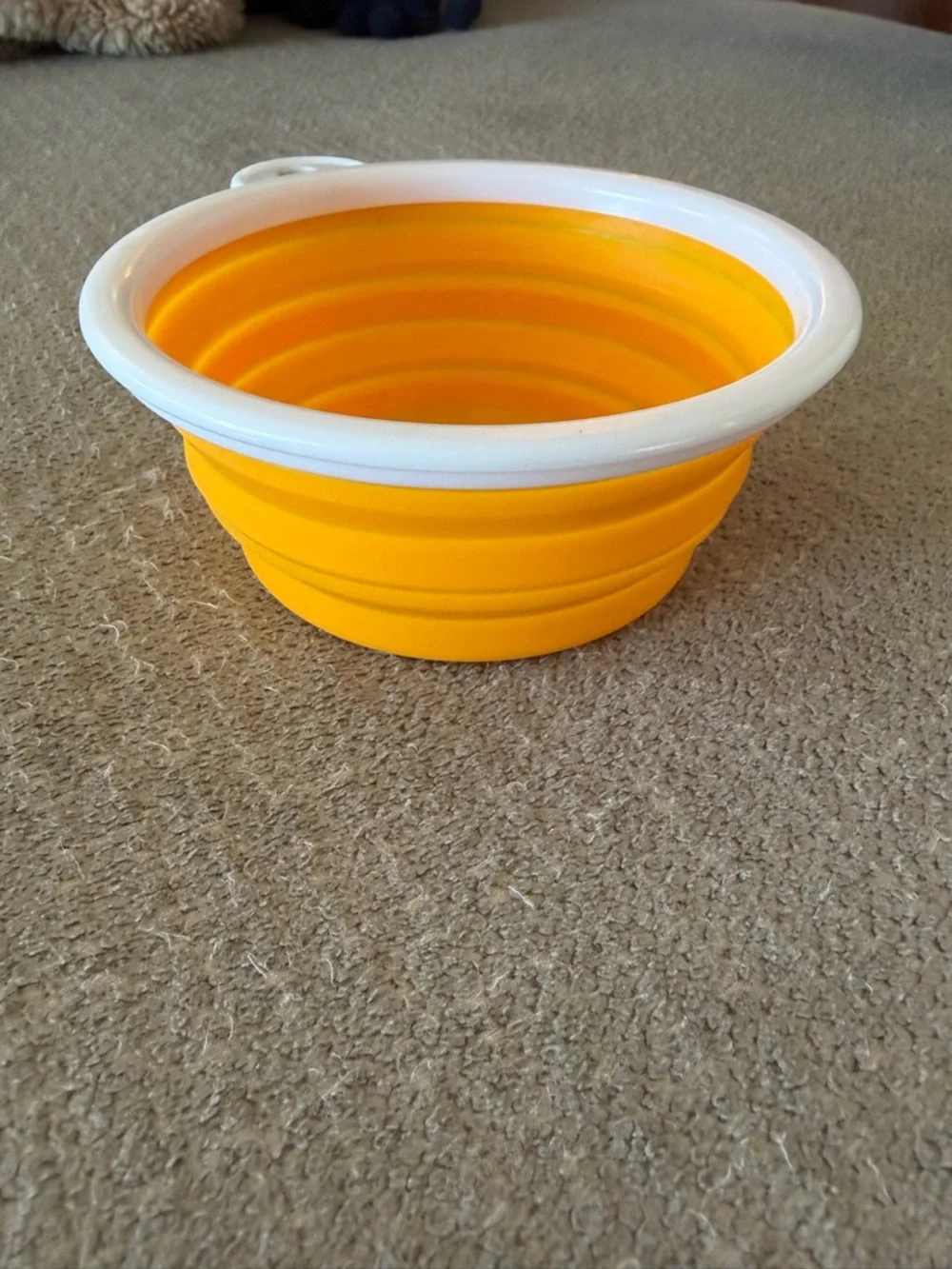 ROADIE Collapsible Pet Travel Bowl - Yellow